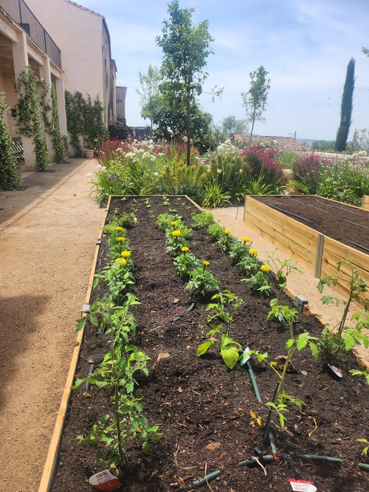 Camas elevadas para el cultivo