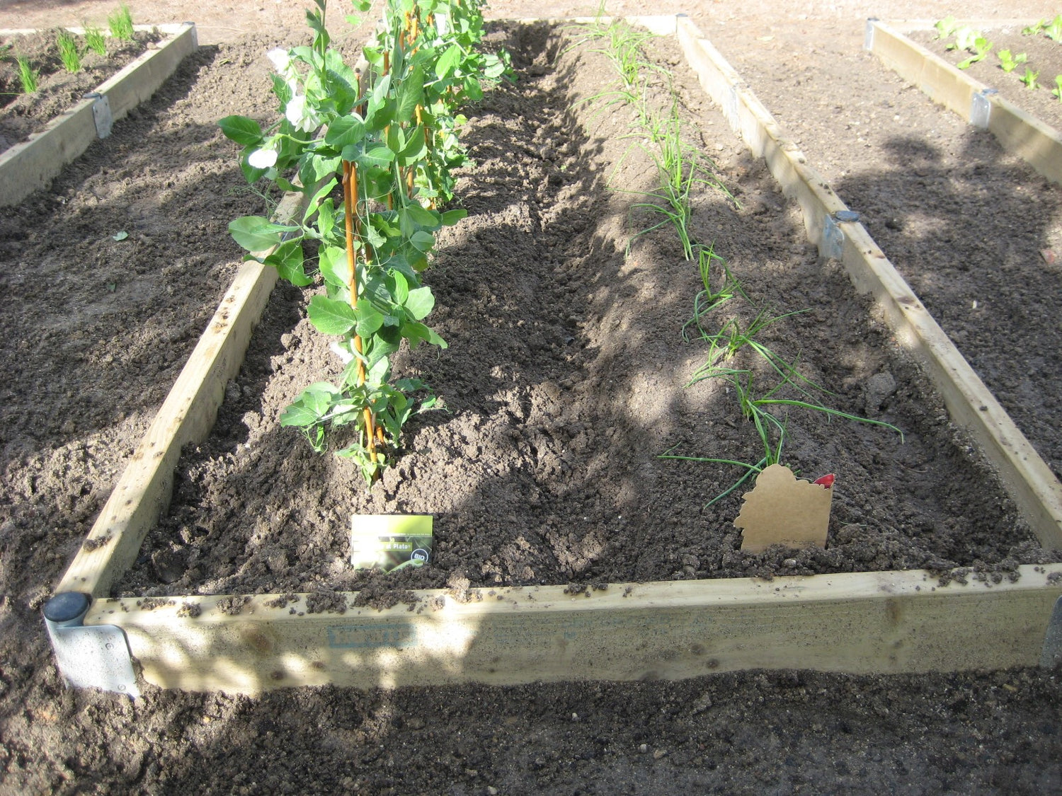 camas elevadas para el cultivo