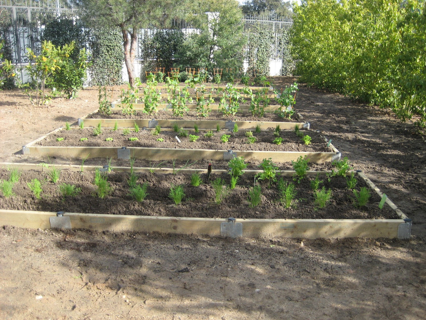 Cama elevada de cultivo 