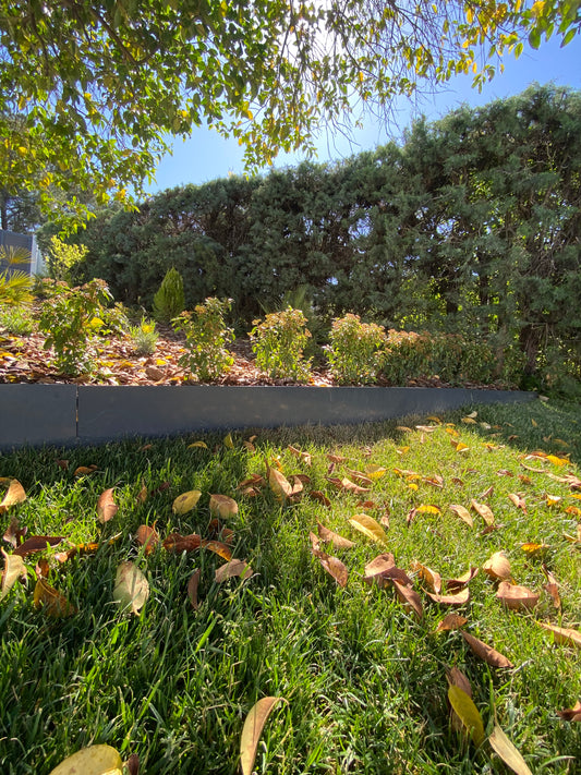 Bordura gris antracita (200 cm x 10 cm x 1,5 mm)