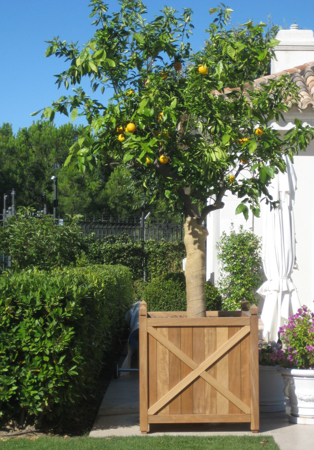 Jardineras de Madera: Elegancia y Durabilidad para tu Espacio Exterior